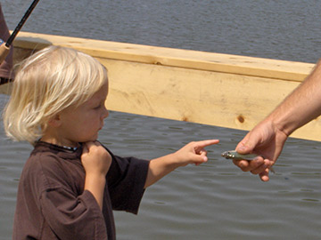 Camp Woodbury kid touching a fish